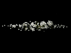 반다이라 쥬베이 / XY / 1학년