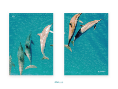 395. 물길 따라서