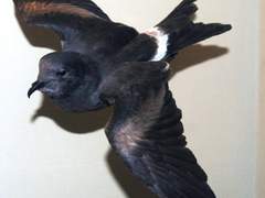 여기 편지가 왔어! 너를 위한 거야.