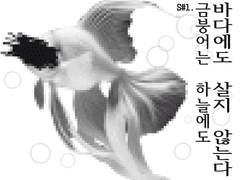 S#1. 금붕어는 하늘에도 바다에도 살지 않는다.
