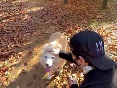 엔하이픈 제이크 캐해/남친감/남편감/이상형