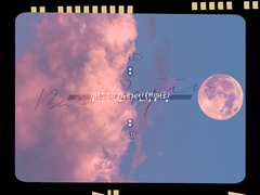 [건뵤] 그 햄스터의 지하실에는 늑대가 산다 1