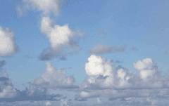 강인하고 보드라운 햇살 아래