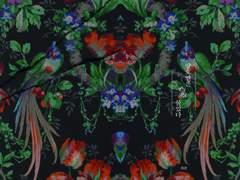 [백호열] 양호열은 칼을 물었다.