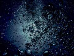 바다속에 잠들다