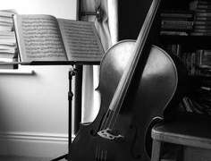 𝓥𝓲𝓬𝓽𝓸𝓻𝔂