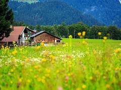 리틀 포레스트_그 아이 1