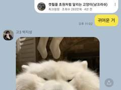 김남매 이슈 TALK 5