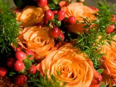 우성태섭 | and just say 'Hi'