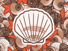 조개껍데기 브러쉬