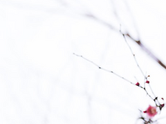 [화산귀환] 오래오래 행복하게