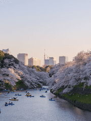 C.C.C : CAMPUS CLASS COUPLE 