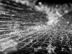 나는 결코 죽인 적이 없다