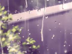 지금 만나러 갑니다 上