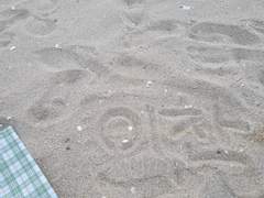 새벽탈출 바다여행!