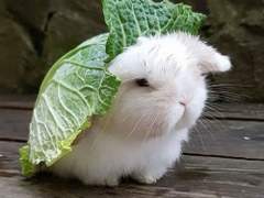 시시콜콜한 이야기