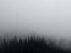 [천마청명] 매화야, 나는 돌아올 것이다