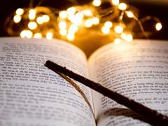 BL과 HL 웹소설 향유자 간의 차이