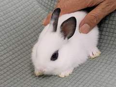 시시콜콜한 이야기