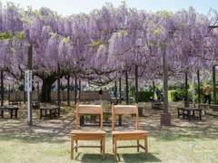 Binary Star_epilogue