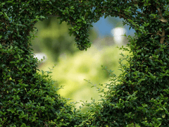 하서령 :: 프로필