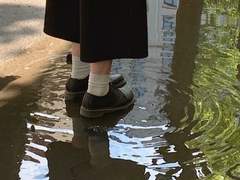 최후의 인류가 만약 우리라면,