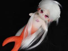 [링콩 커미션] 솜인형 제작 대행 커미션 샘플- 인외