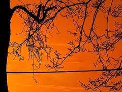 베아트리스 쥬드 / XY / 21 / 마법사