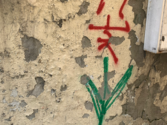 미자 (성인도)알바 필독서