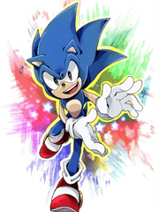 소닉 더 헤지혹 소설(자작au 및, AU 소설 포함)