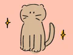 고양이 중의 고양이