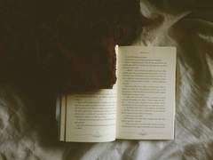 [백도] 우월한 오케스트라 3