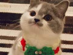 인터파크 인팤 URL 최신 직링 직접 따는 법 판매