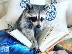 준빵 짧썰?(+ 뻘트 약간) 모음 4 (백업용)