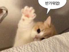 그니까 지금 너가 말하는 공주가 누군데 prolog