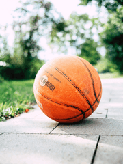 농구 좋아하세요?