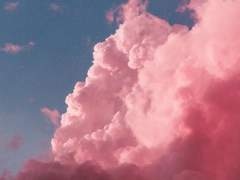 좋아하는사람이랑사귀는법