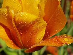 정신차려 이 각박한 세상 속에서