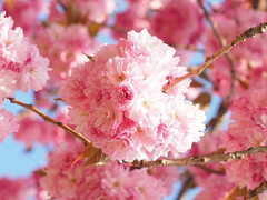 너와 천천히 오래 걷고 싶어 until the end of time