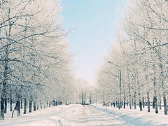 Сибирская ночь