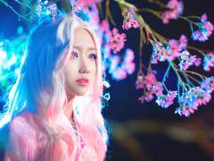 【Cosplay】 가담항설 - 백매