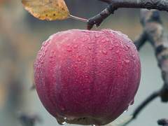 청산특별고등학교