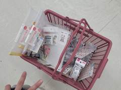 D+152 일본 다이소에서 2시간 쇼핑하는 여자