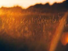 살아있는 사람들의 계절