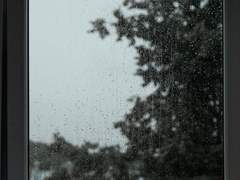 [우성명헌] 잊혀진 계절