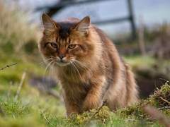 “ Crazy in discipline. ”