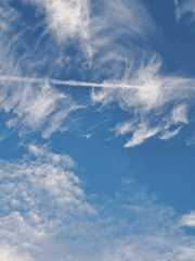 [미수반] CAT FISH EFFECT