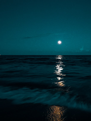 [원부]-겨울바다에 순정을 바쳐