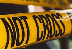 [장로] Vampire Alive (1)