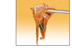 잘먹는가 시즌1 -21화 보글보글 간단하게 낙.곱.새!